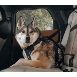 Thule Cappy Crashtestet sele 