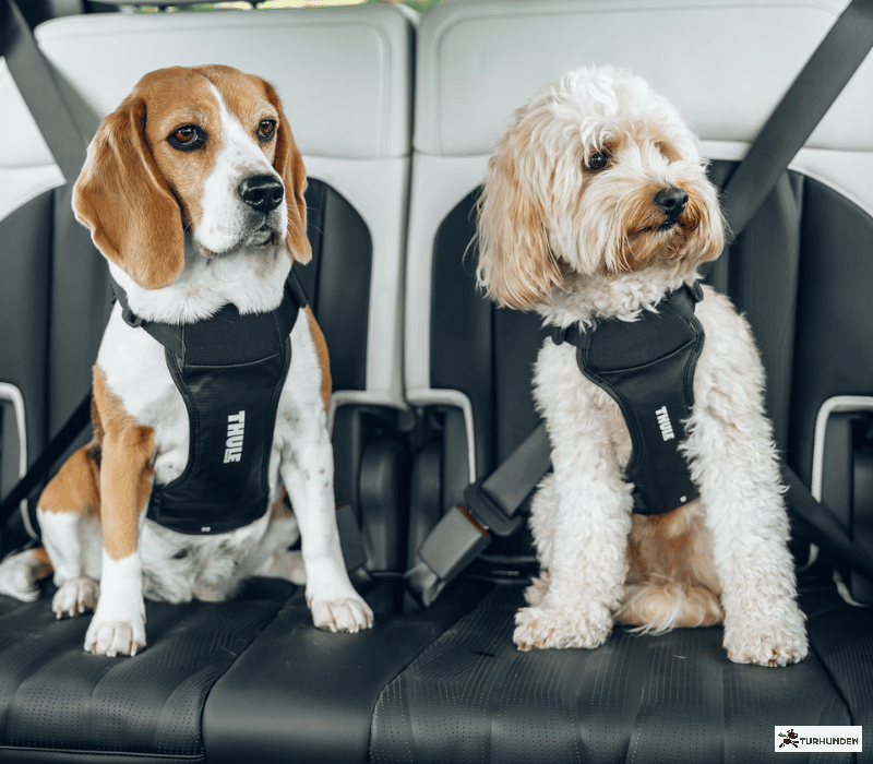 Thule Cappy Crashtestet sele 