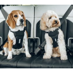 Thule Cappy Crashtestet sele 