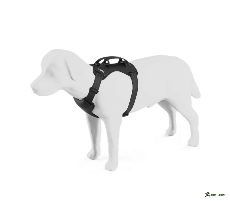 Thule Cappy Crashtestet sele 