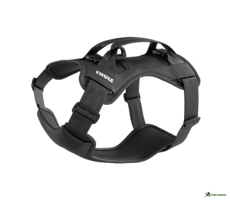 Thule Cappy Crashtestet sele 