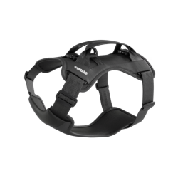 Thule Cappy Crashtestet sele 