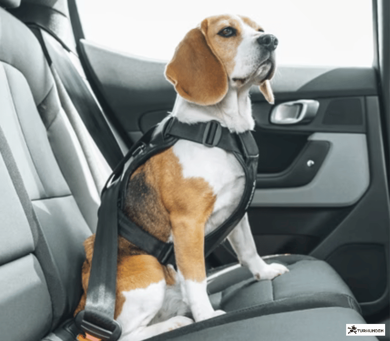 Thule Cappy Crashtestet sele 