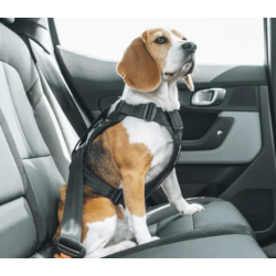 Thule Cappy Crashtestet sele 