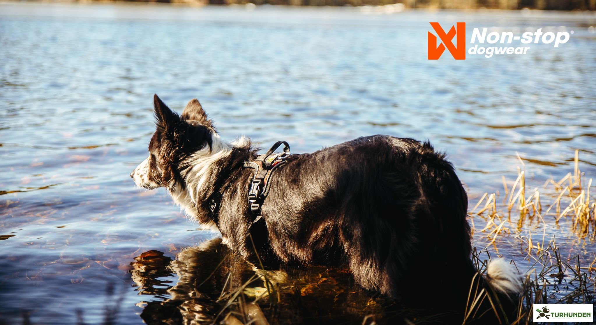 Non-Stop dogwear Rock Harness