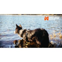 Non-Stop dogwear Rock Harness