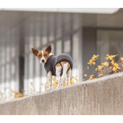 Trixie CityStyle Berlin Pullover