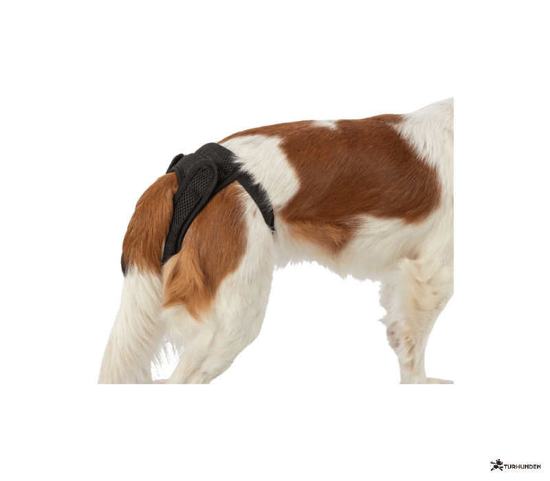 Trixie Comfort Protective Pants