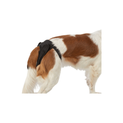 Trixie Comfort Protective Pants