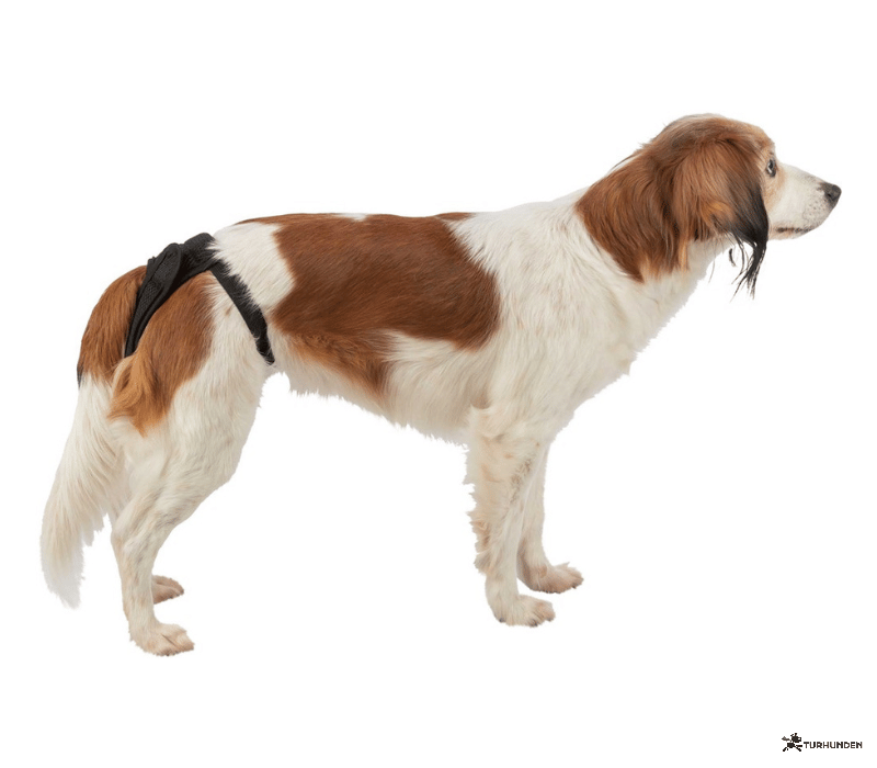 Trixie Comfort Protective Pants