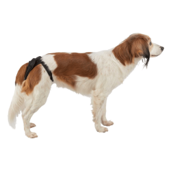 Trixie Comfort Protective Pants