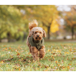 Trixie Norwood pullover