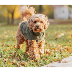 Trixie Norwood pullover