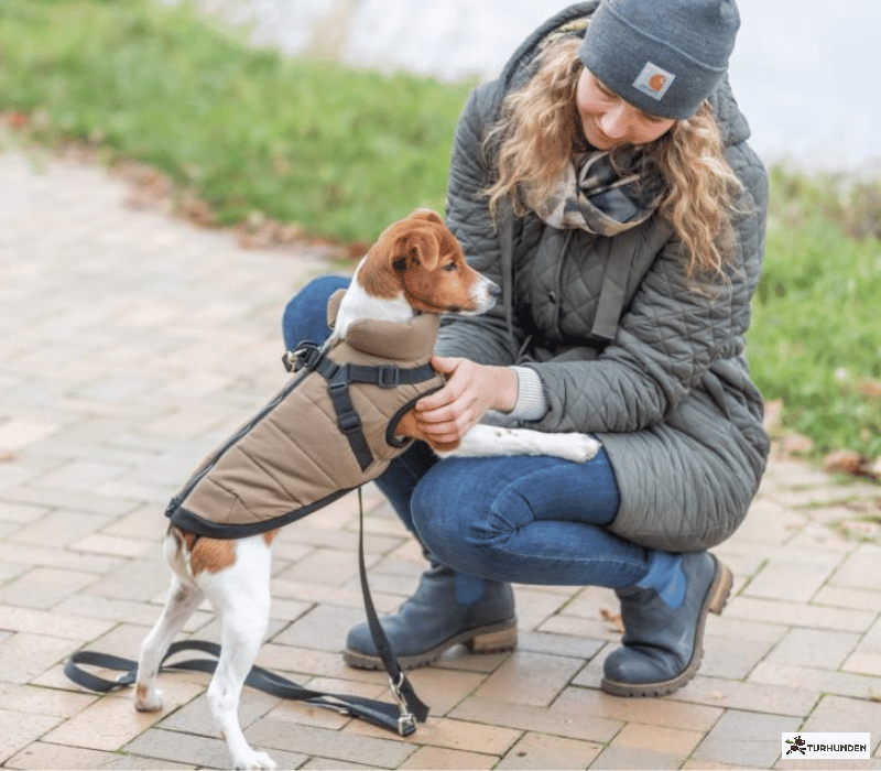 Trixie Pirou Winter Harness  Coat