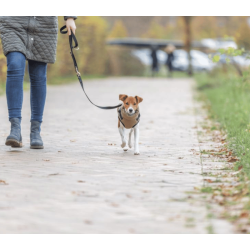 Trixie Pirou Winter Harness  Coat