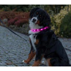 Trixie USB Flash lysring ekstra bred