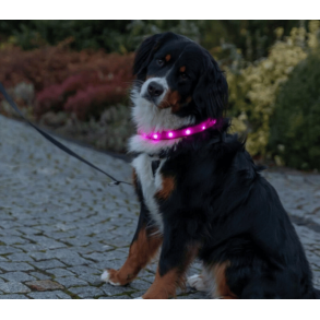 Trixie USB Flash lysring ekstra bred