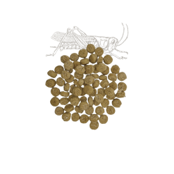 Truffe Dlice - Grshoppe &amp; Sd kartoffel