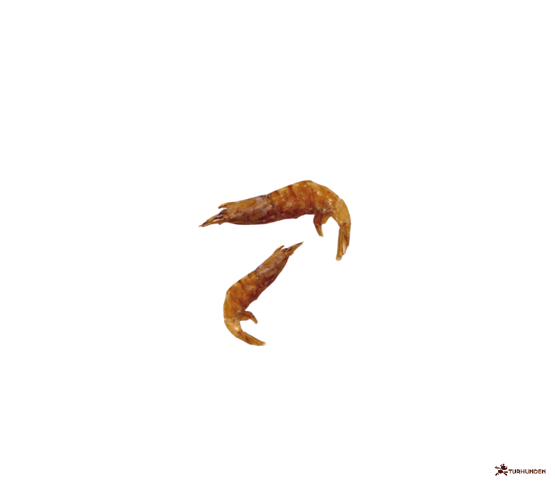 Truffe D�lice - Rejer