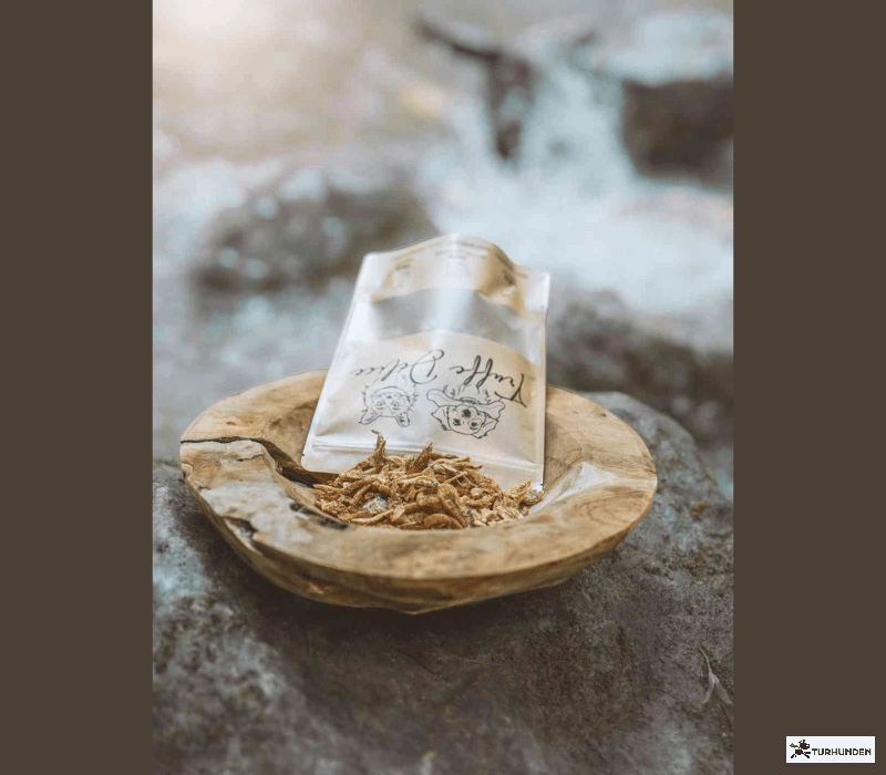 Truffe D�lice - Rejer