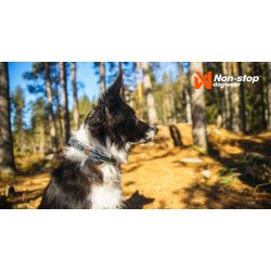 Non-stop dogwear Roam Collar