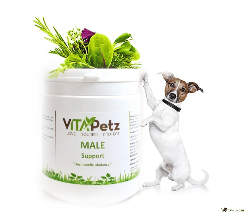 Vitapetz Male Support