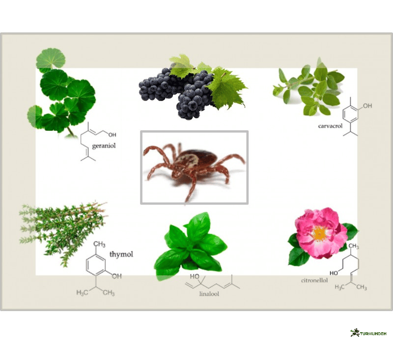 Vitapetz Protect Spot-On (4 x 2,5 ml piptter)