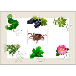 Vitapetz Protect Spot-On (4 x 2,5 ml piptter)