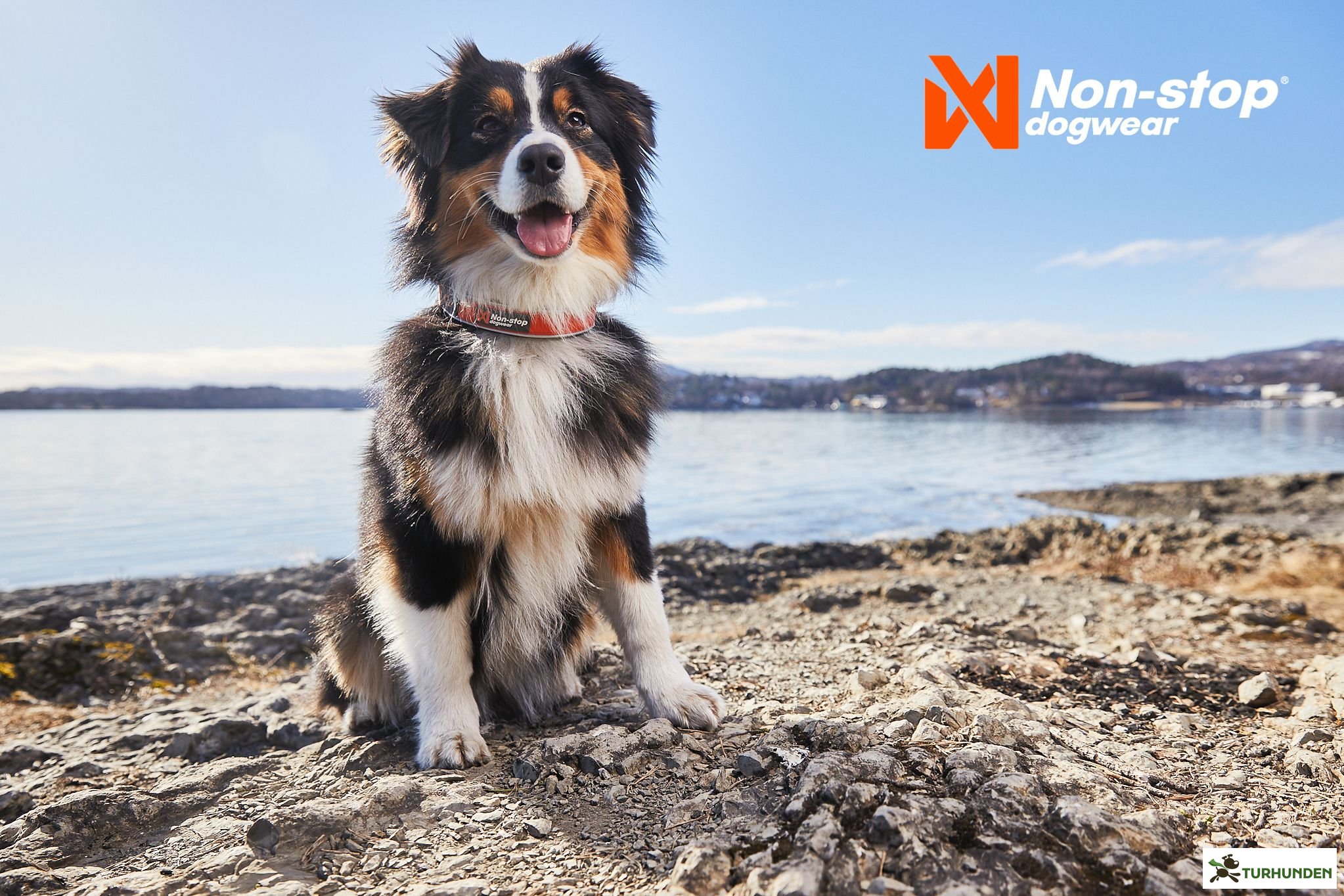 Non-stop dogwear Cruise Collar - Orange