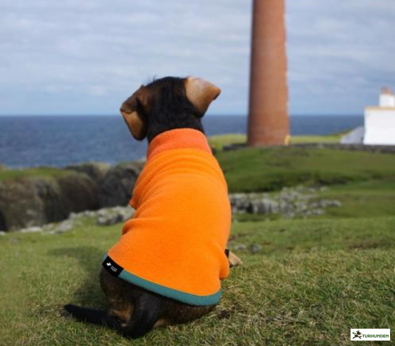 Woof &amp; Wiggle Pullover