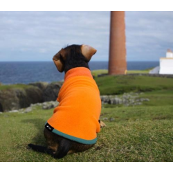 Woof &amp; Wiggle Pullover