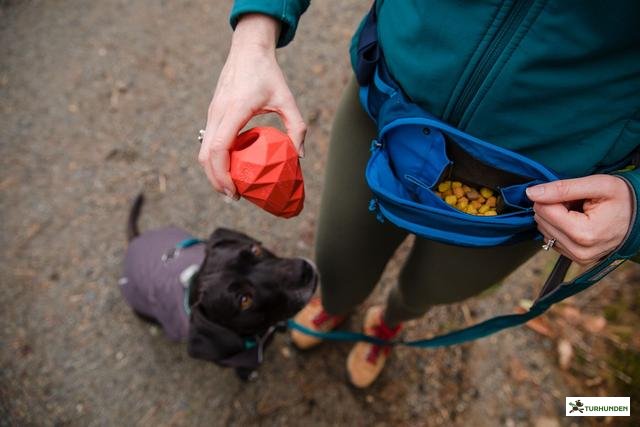 Ruffwear Home Trail Hip Pack 