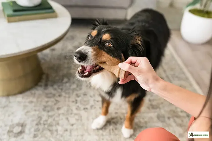 Whimzees Gevir Large