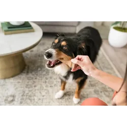 Whimzees Gevir Large