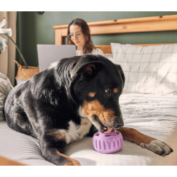 Woof Pupsicle � Lavendel