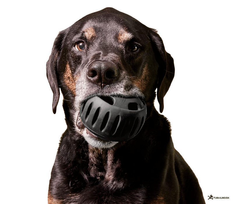 Woof Pupsicle Power Chewer � Black