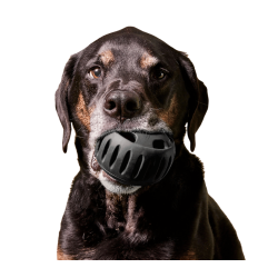 Woof Pupsicle Power Chewer � Black