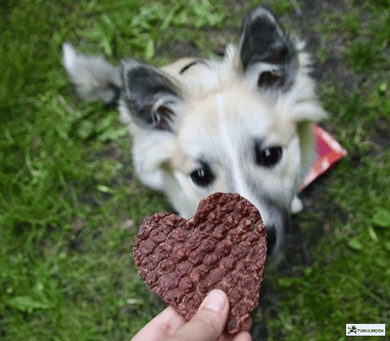 Woolf Hearts of Duck or Chicken with rice