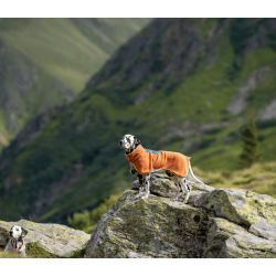 Wooly Wolf Alpha 360 Fleece Pullover