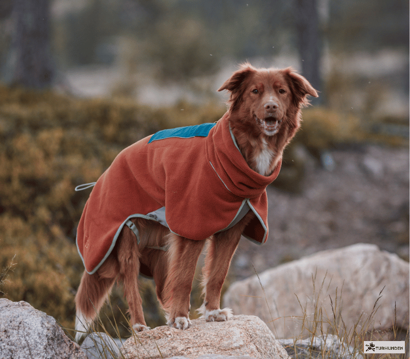 Wooly Wolf Alpha 360 Fleece Pullover