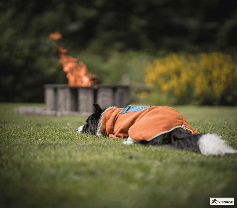 Wooly Wolf Alpha 360 Fleece Pullover