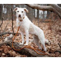 Wooly Wolf Rope Leash 