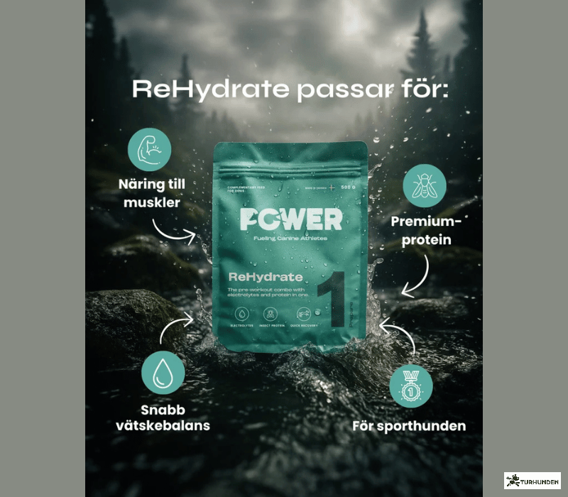 POWER ReHydrate