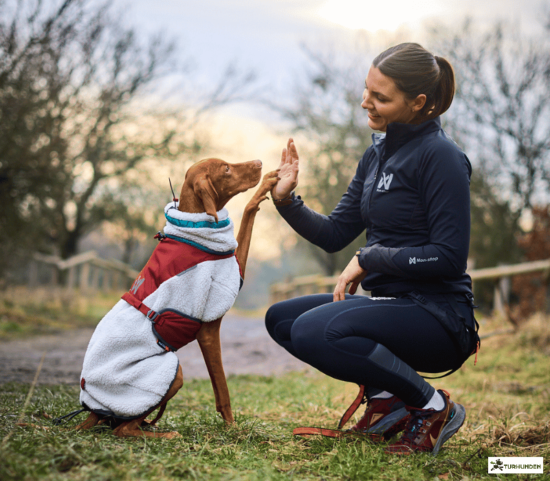  Non-stop dogwear CaniX warm Up Jacket / Dame
