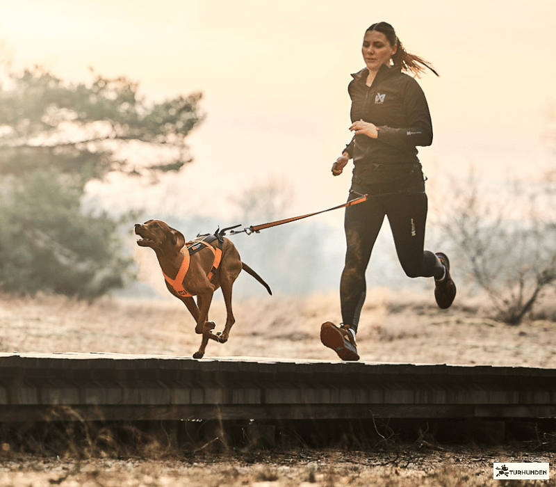  Non-stop dogwear CaniX warm Up Jacket / Dame