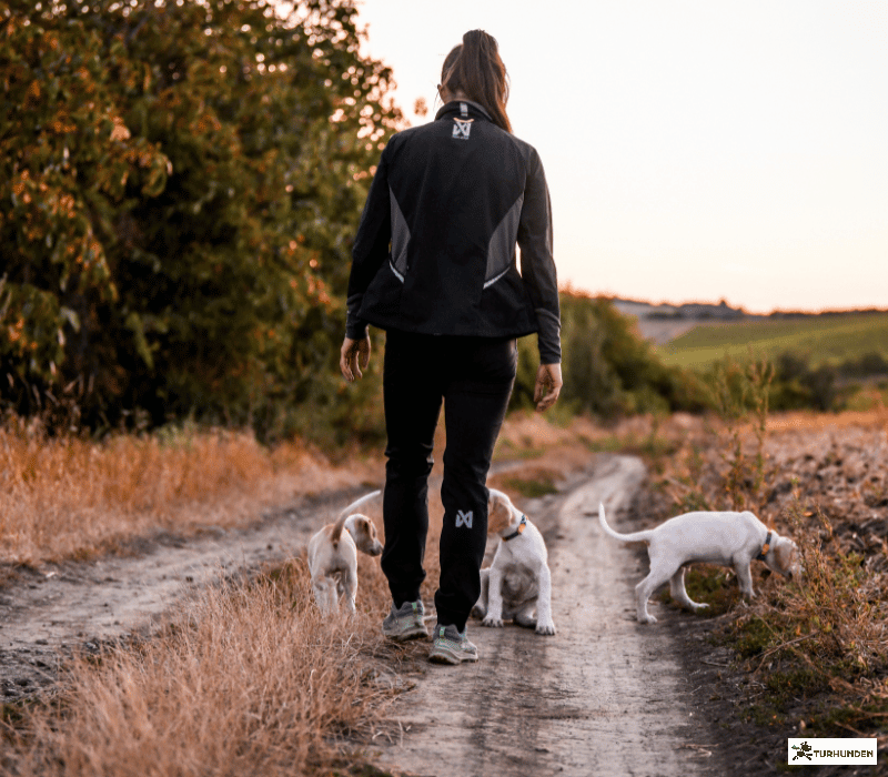  Non-stop dogwear CaniX warm Up Jacket / Dame