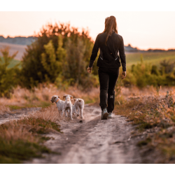 Non-stop dogwear CaniX warm Up Pants / Dame