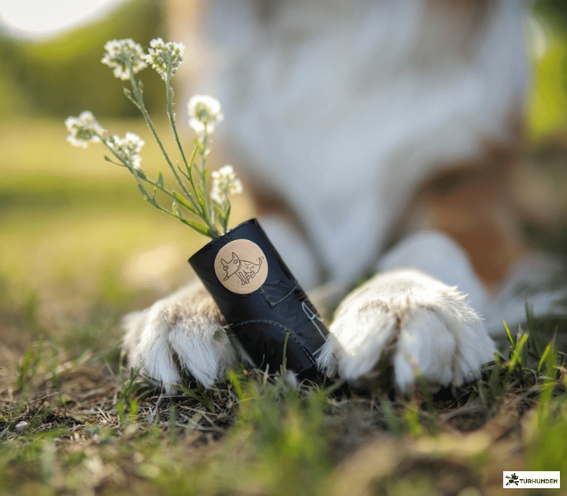 The Sustainable People - biologisk nedbrydelige hundeposer 