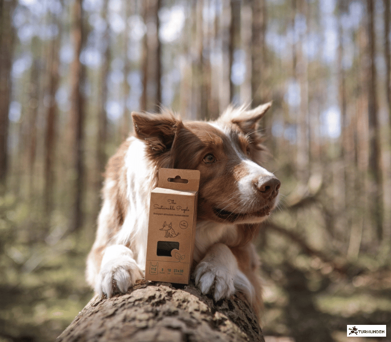 The Sustainable People - biologisk nedbrydelige hundeposer 