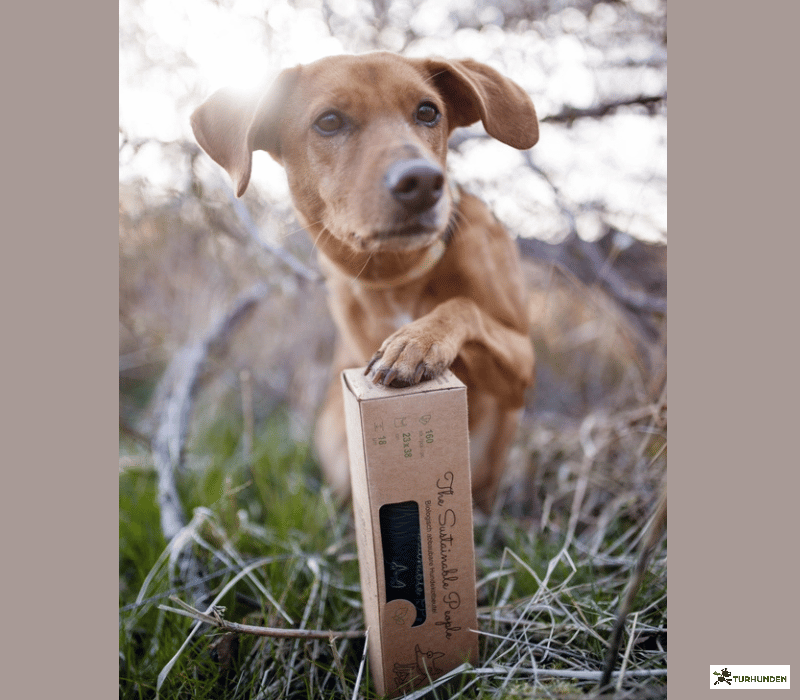 The Sustainable People - biologisk nedbrydelige hundeposer 